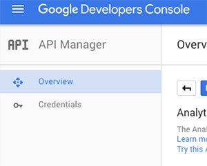 api manager overview